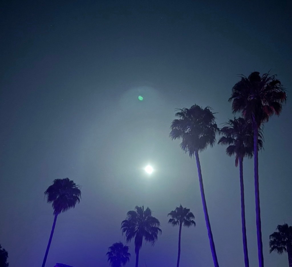 Perfect is Not for&nbsp;Everyone